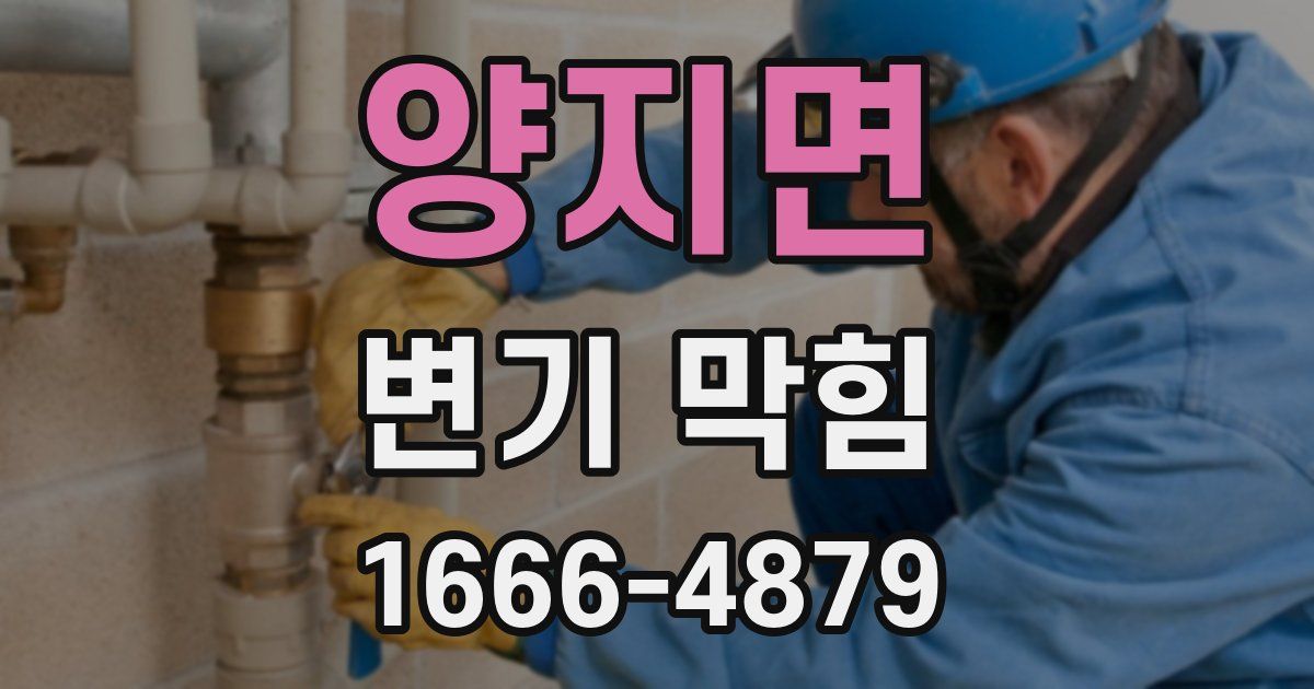 양지면 변기 막힘