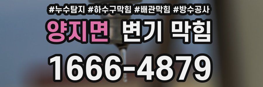양지면 변기 막힘