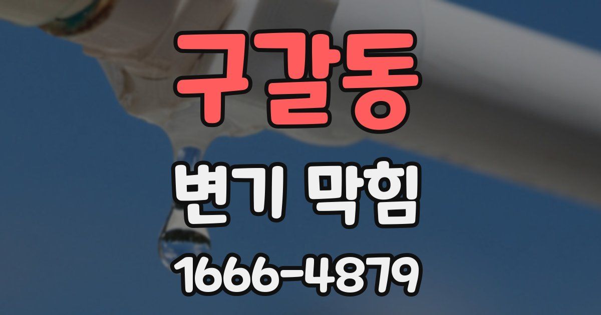구갈동 변기 막힘
