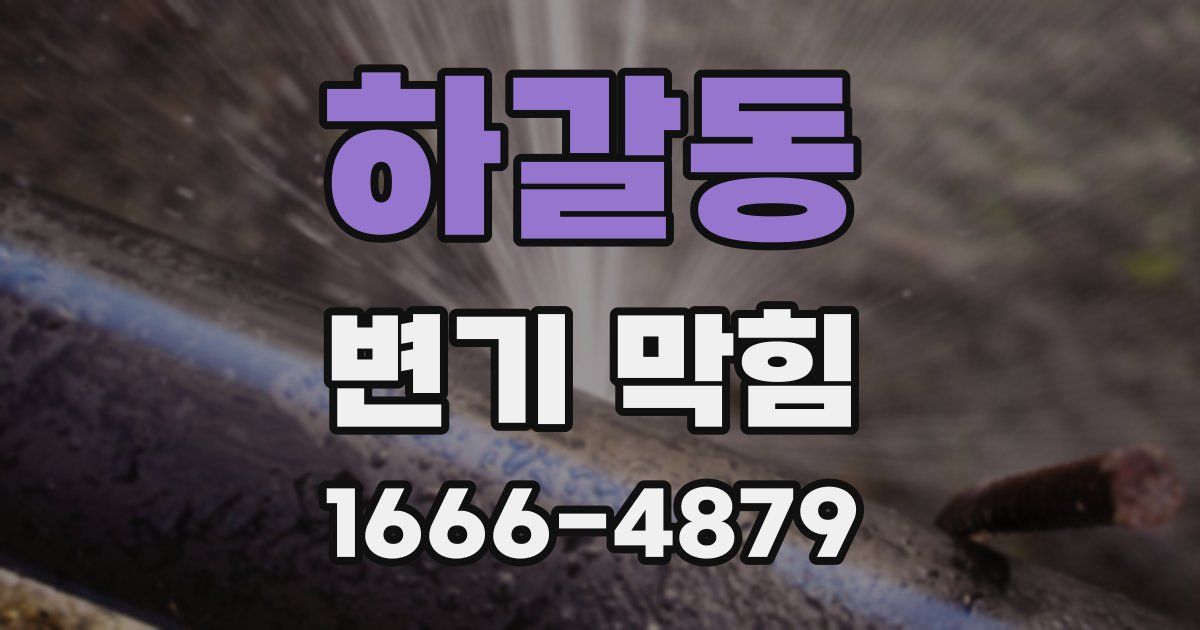하갈동 변기 막힘