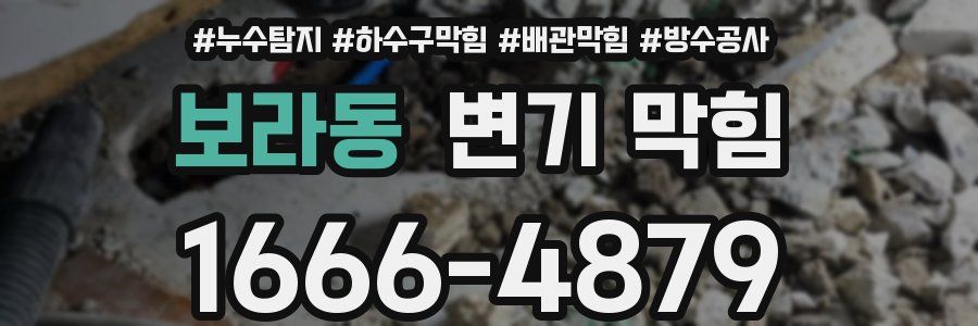 보라동 변기 막힘