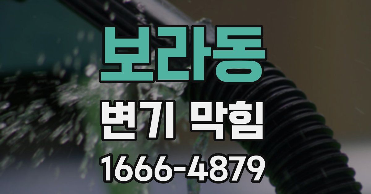 보라동 변기 막힘