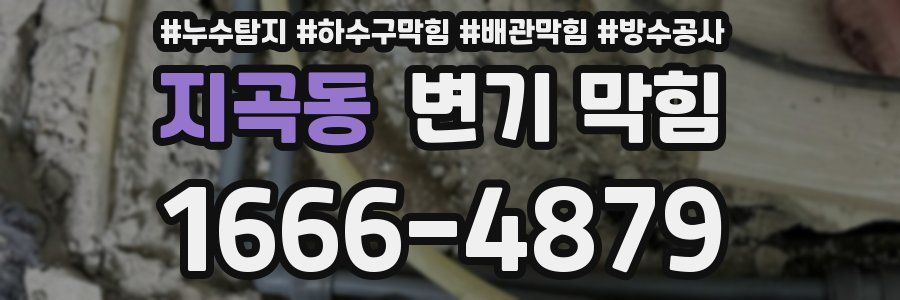 지곡동 변기 막힘