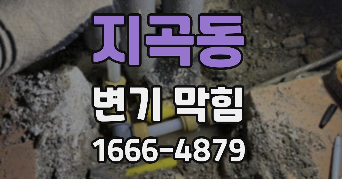 지곡동 변기 막힘