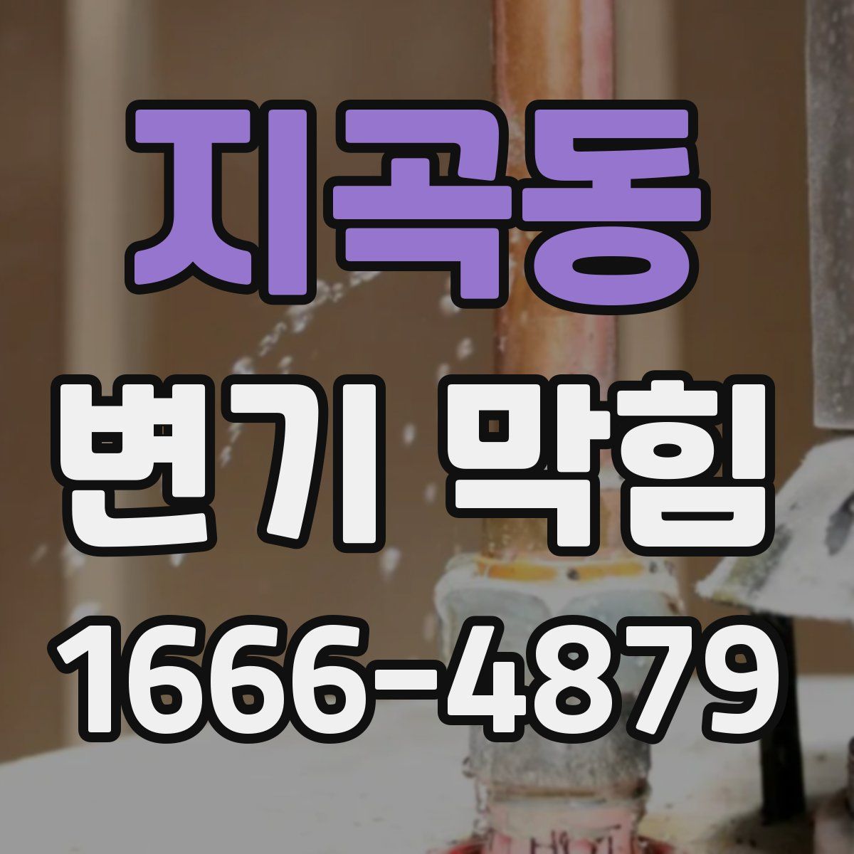 지곡동 변기 막힘