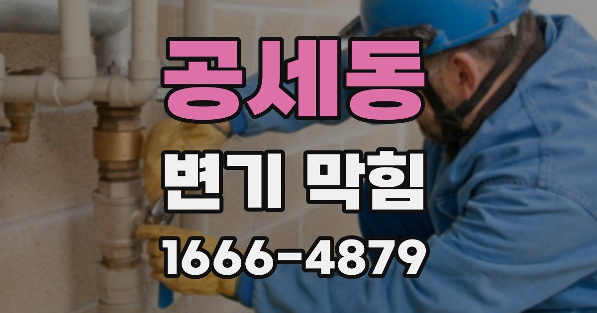 공세동 변기 막힘