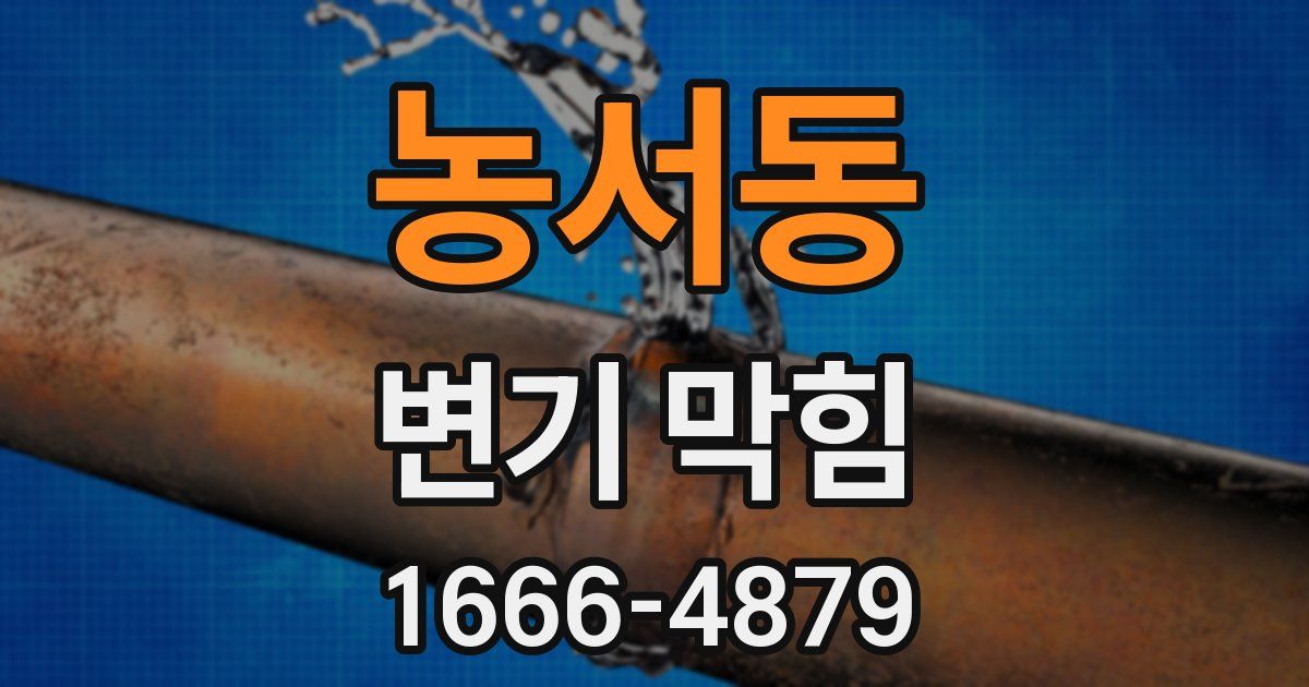농서동 변기 막힘