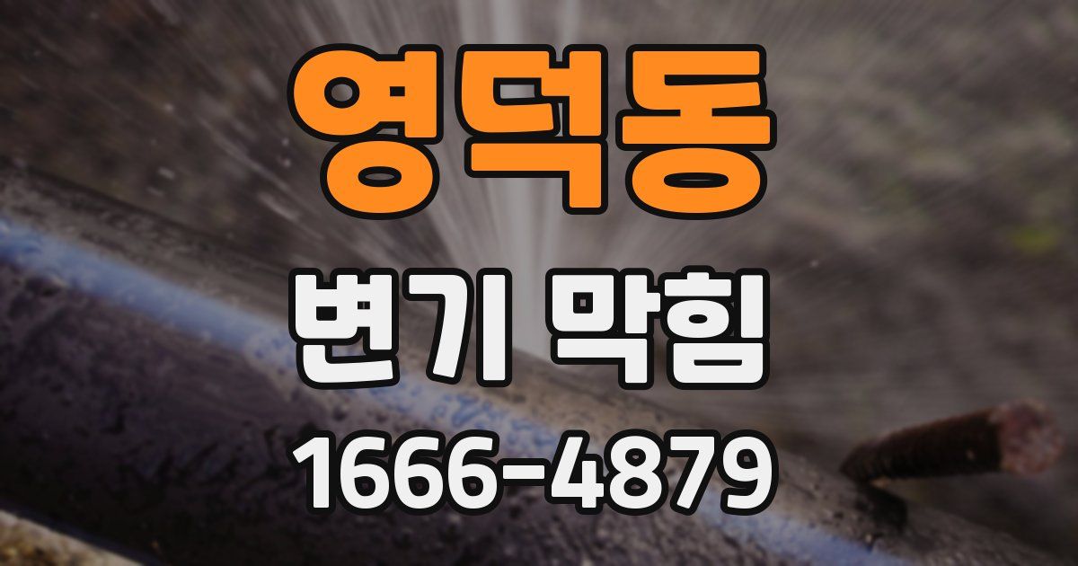 영덕동 변기 막힘