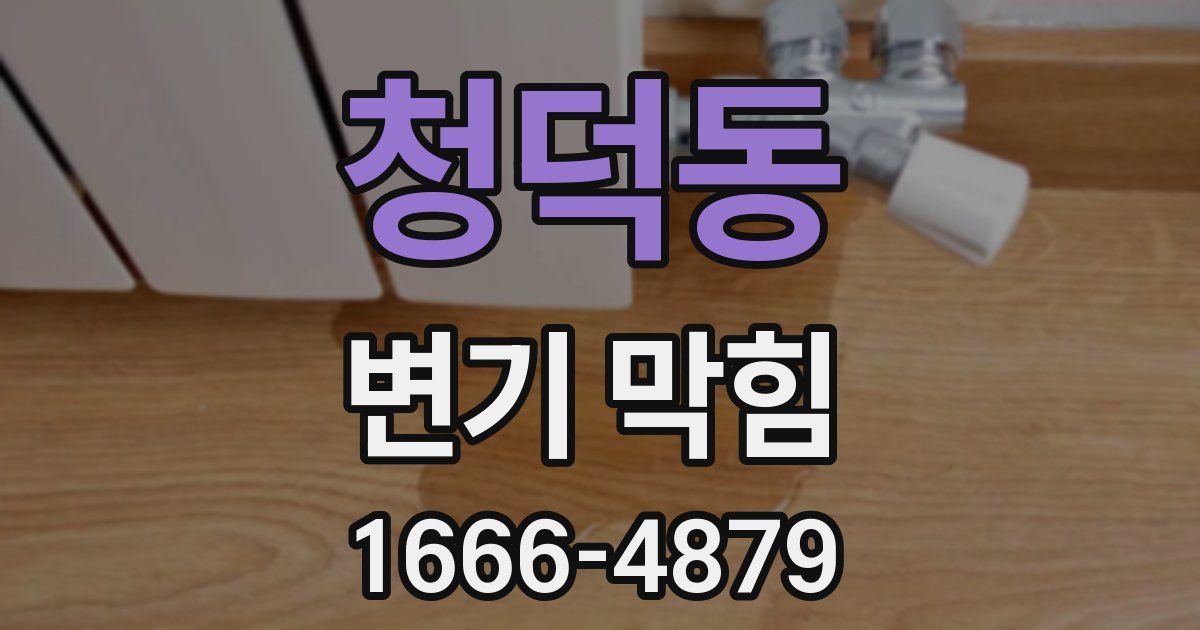 청덕동 변기 막힘
