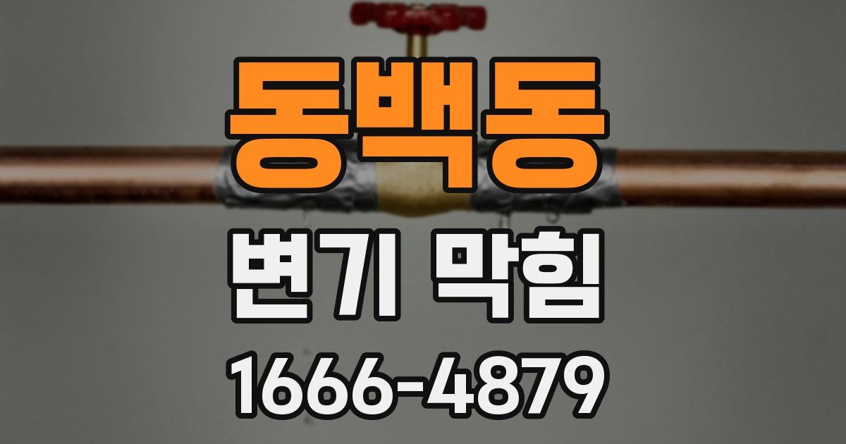 동백동 변기 막힘