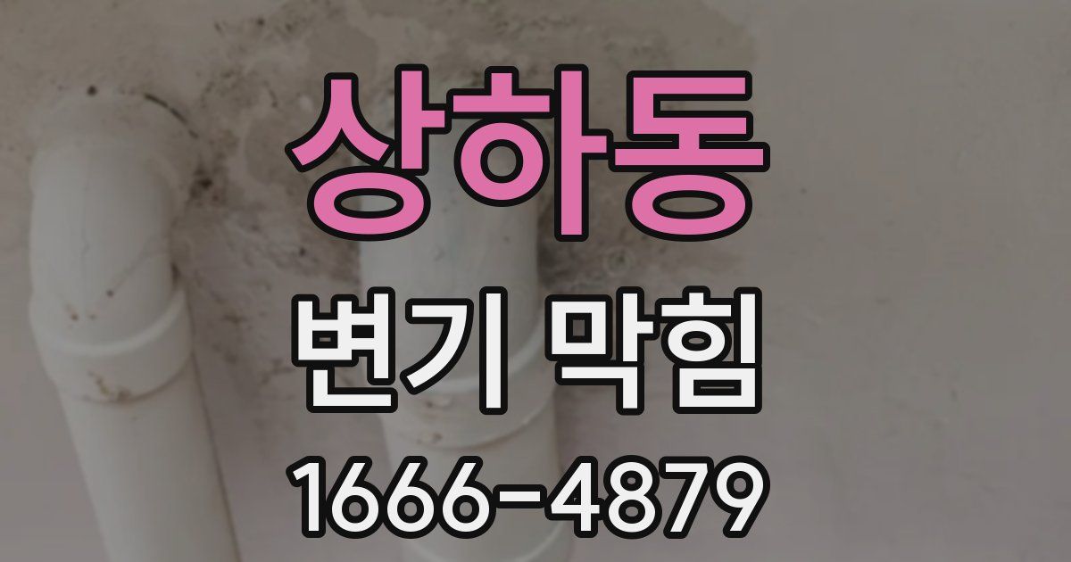 상하동 변기 막힘