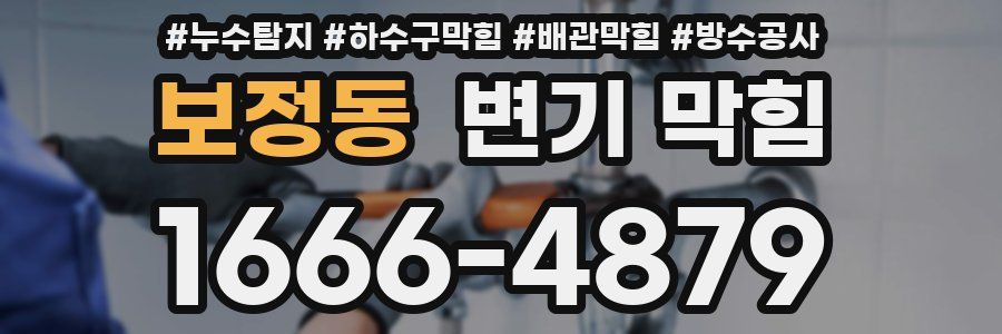 보정동 변기 막힘