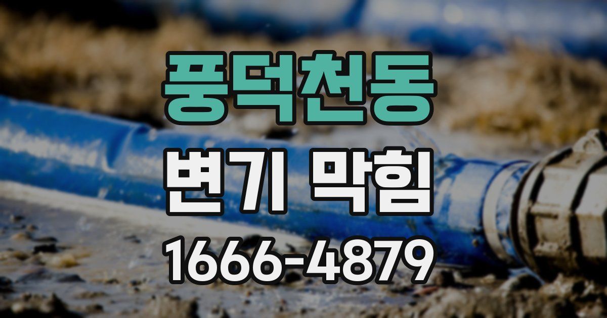 풍덕천동 변기 막힘