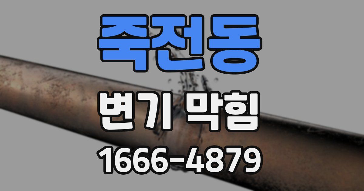 죽전동 변기 막힘