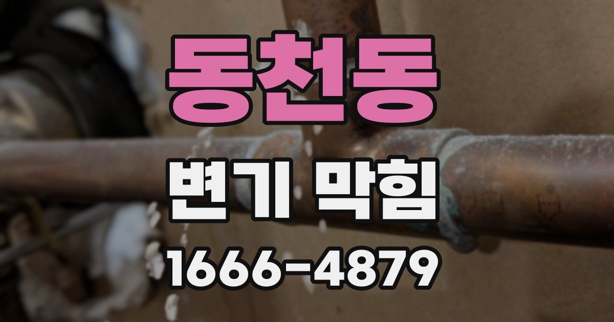 동천동 변기 막힘