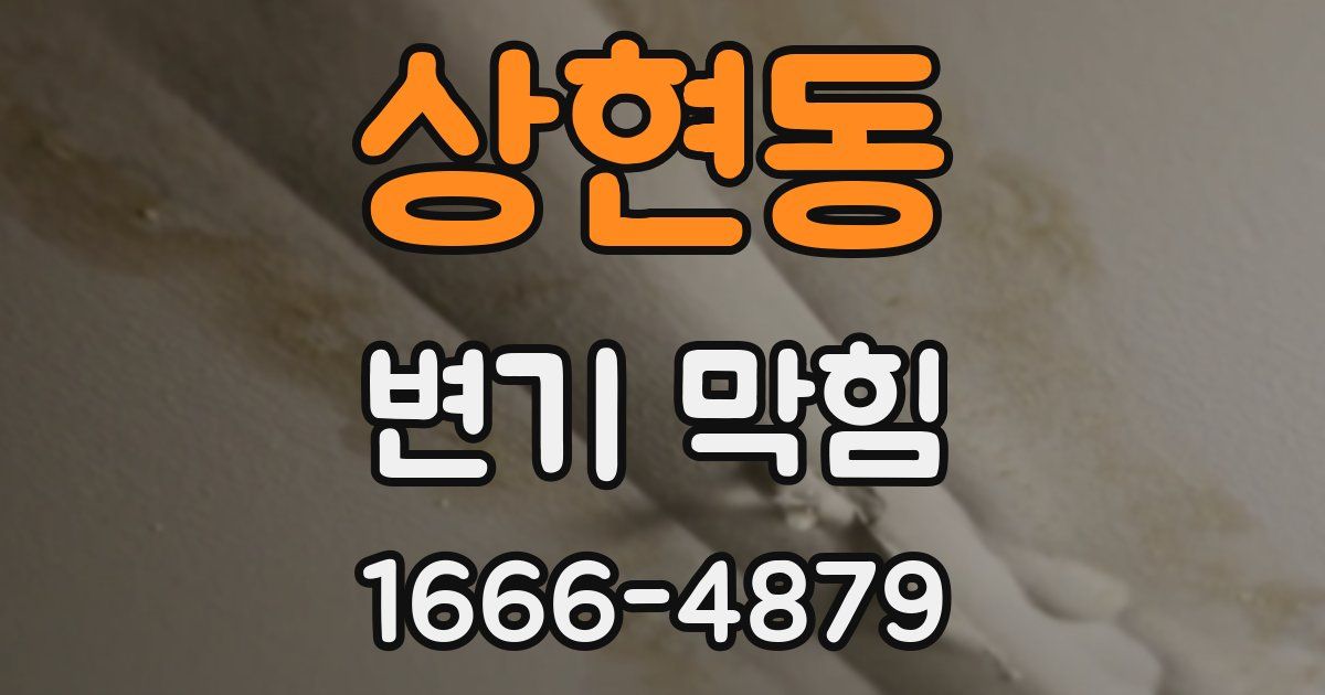 상현동 변기 막힘
