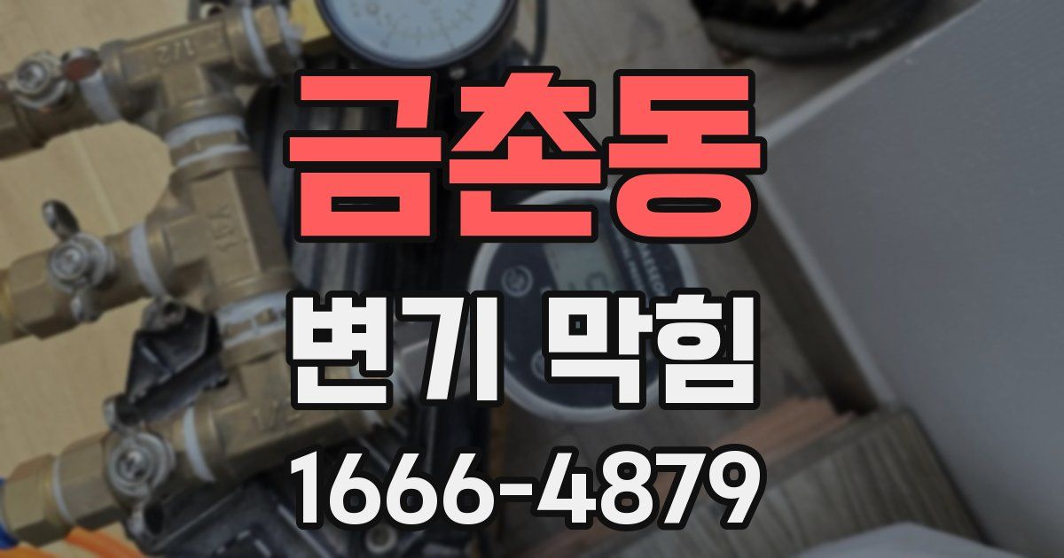 금촌동 변기 막힘