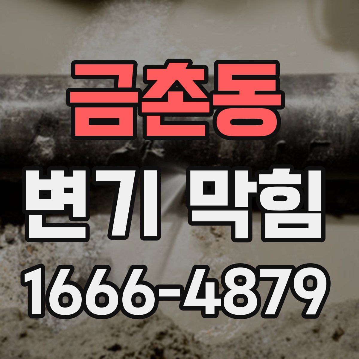 금촌동 변기 막힘