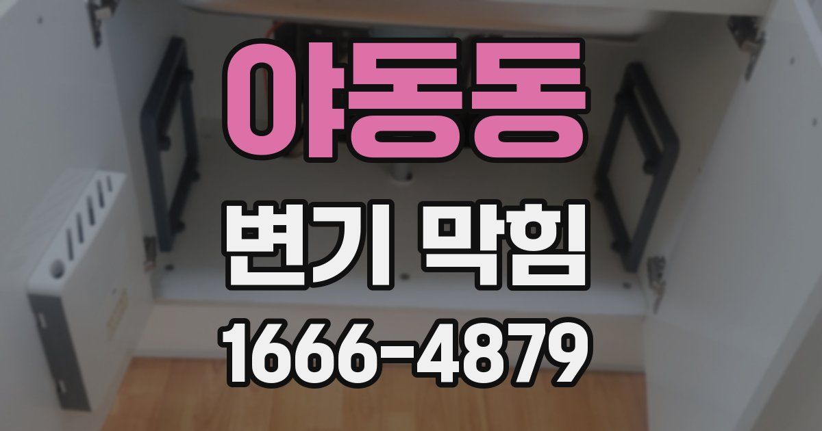 야동동 변기 막힘