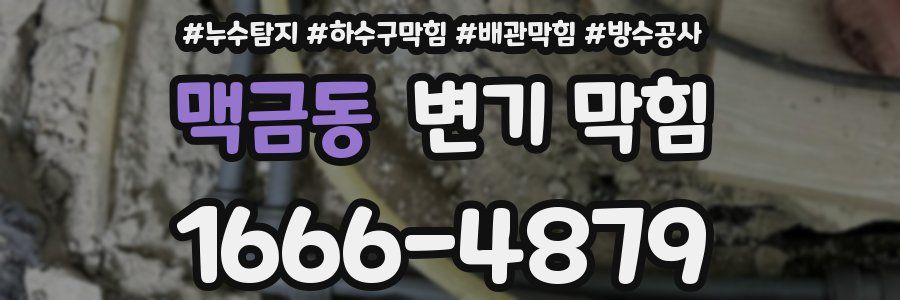 맥금동 변기 막힘