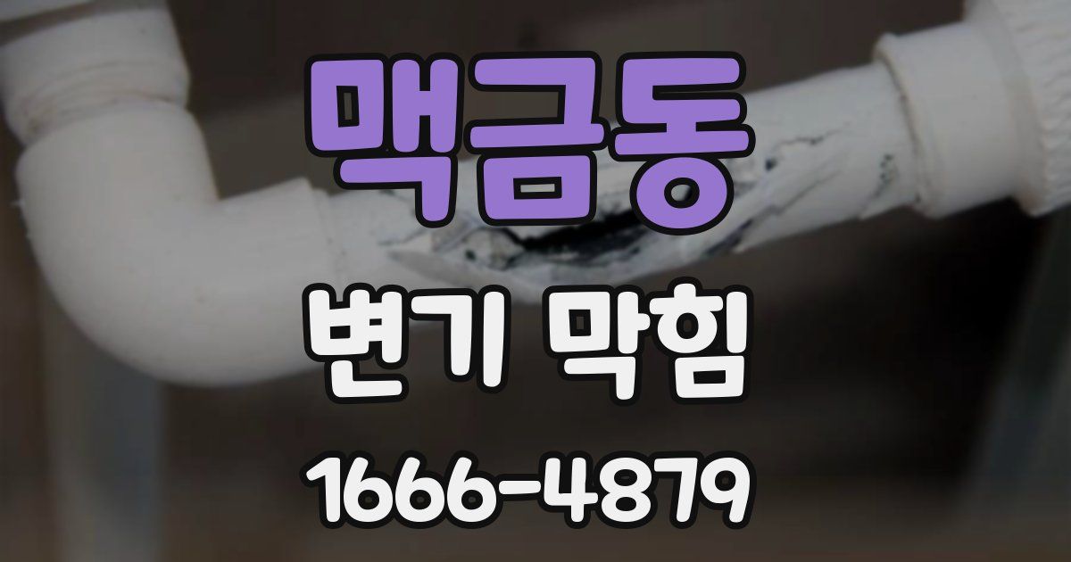 맥금동 변기 막힘
