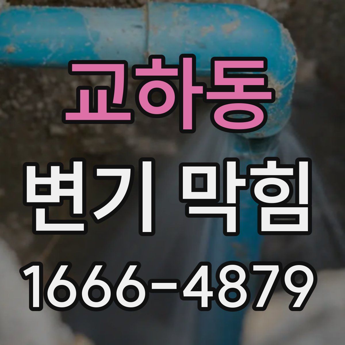 교하동 변기 막힘