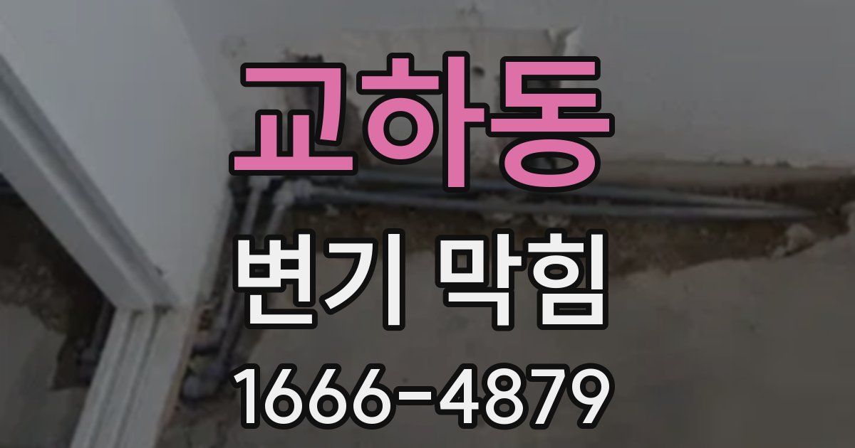 교하동 변기 막힘