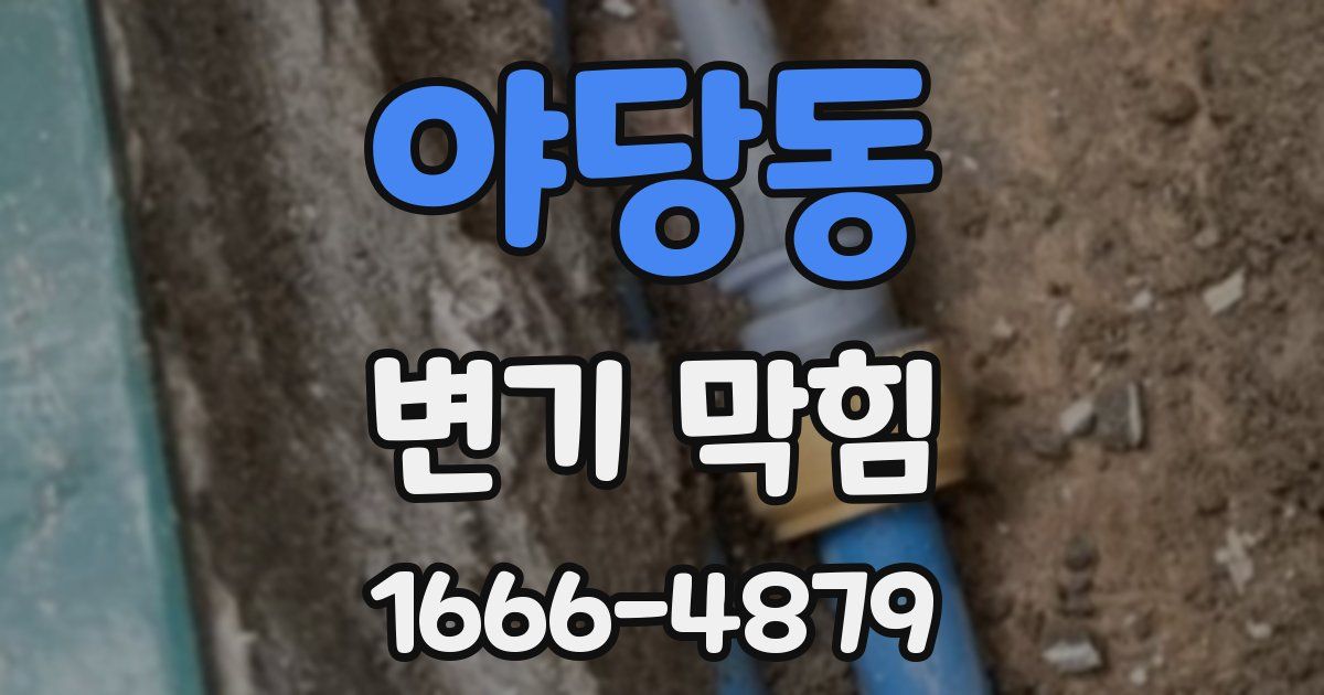 야당동 변기 막힘