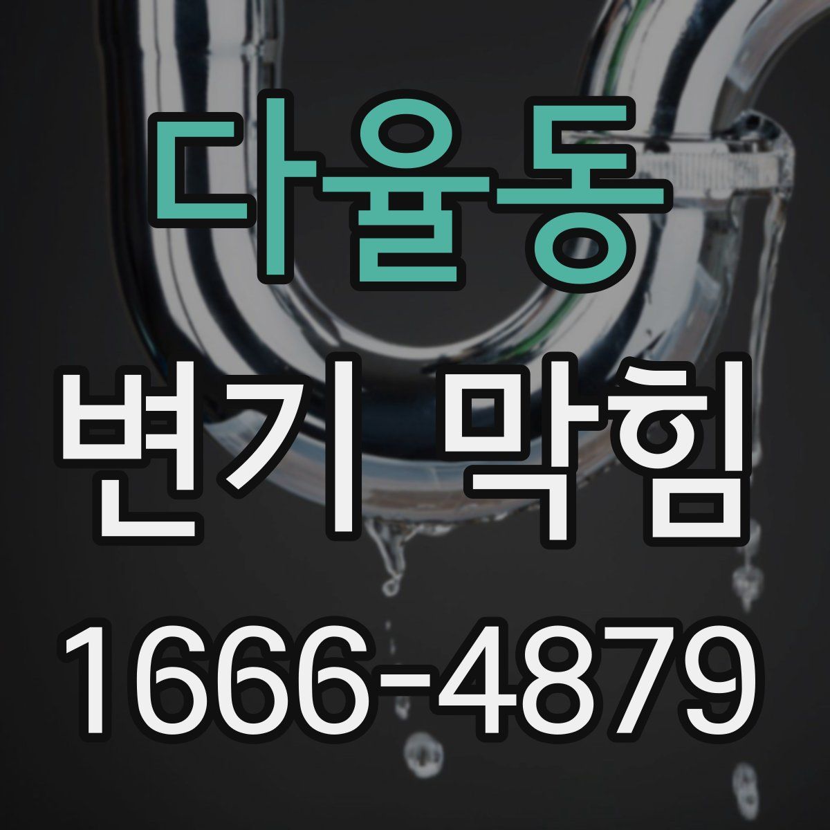 다율동 변기 막힘