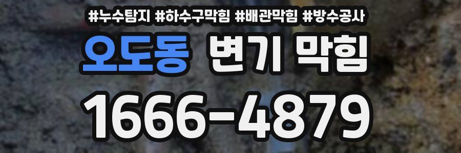 오도동 변기 막힘
