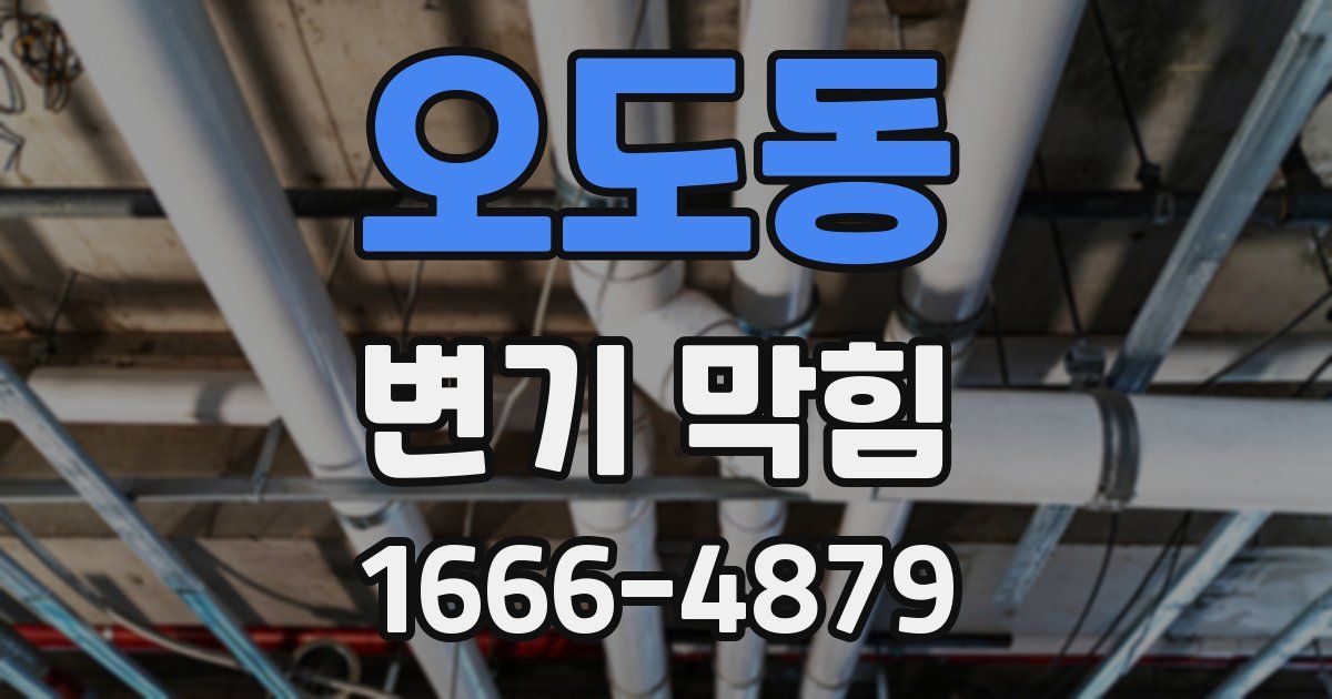 오도동 변기 막힘