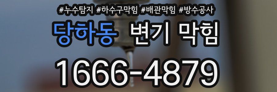 당하동 변기 막힘