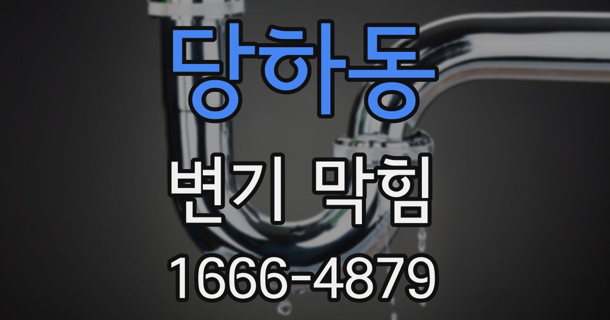당하동 변기 막힘