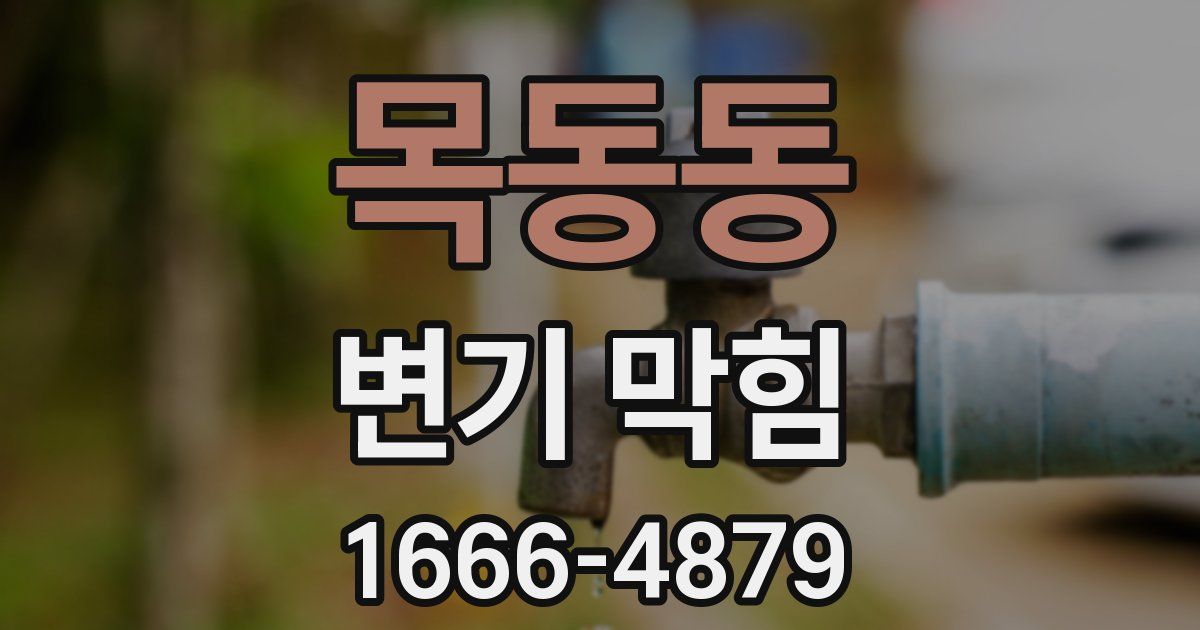 목동동 변기 막힘