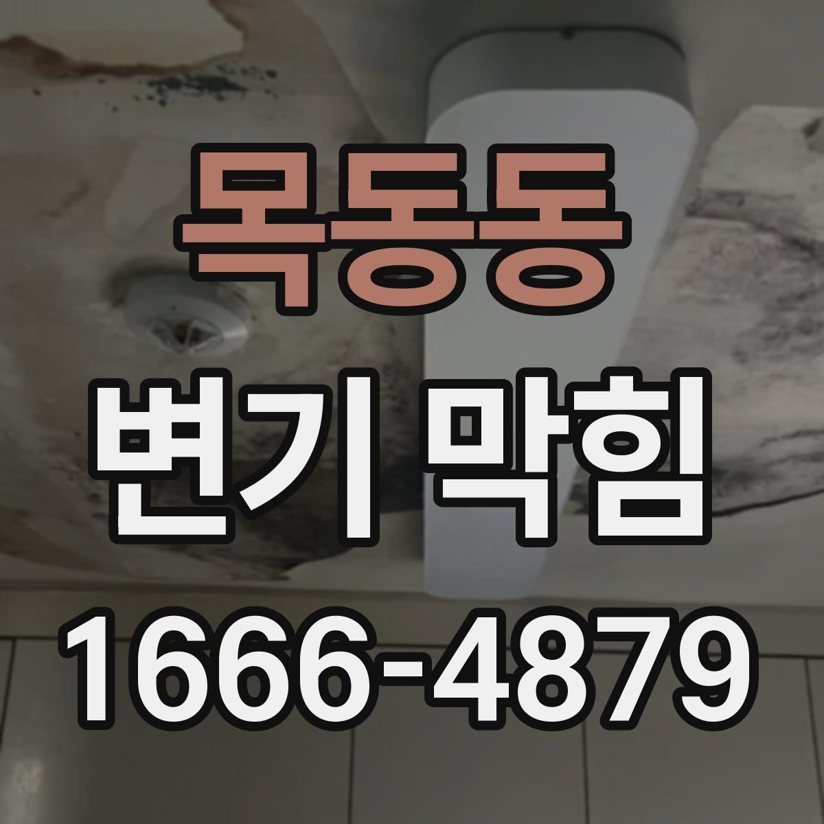 목동동 변기 막힘