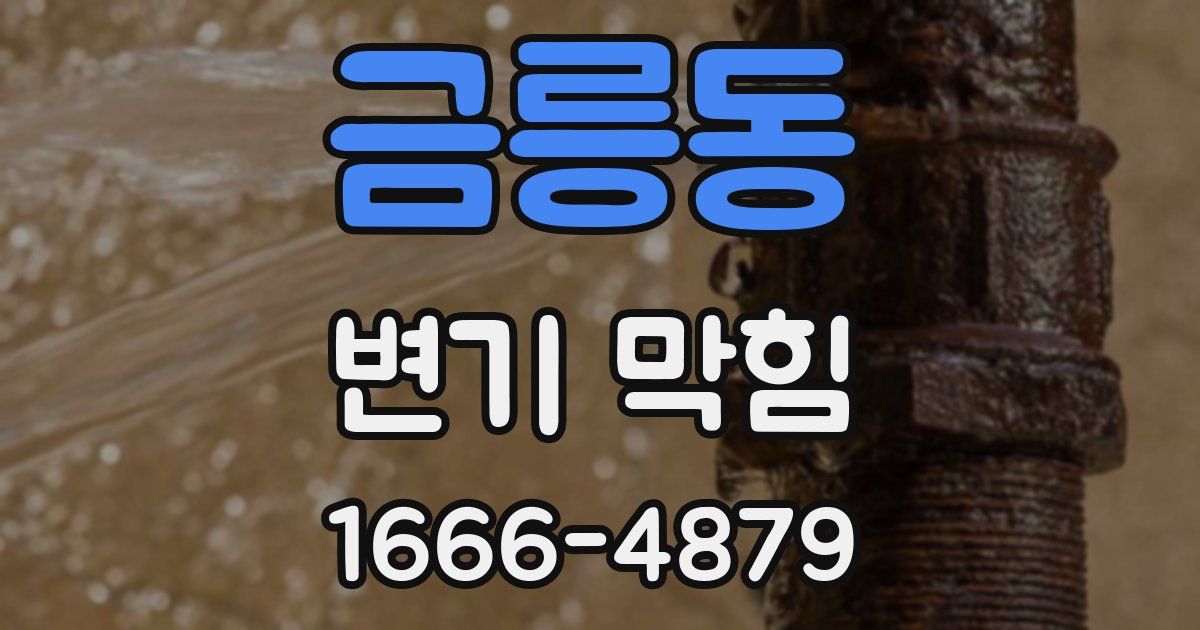 금릉동 변기 막힘