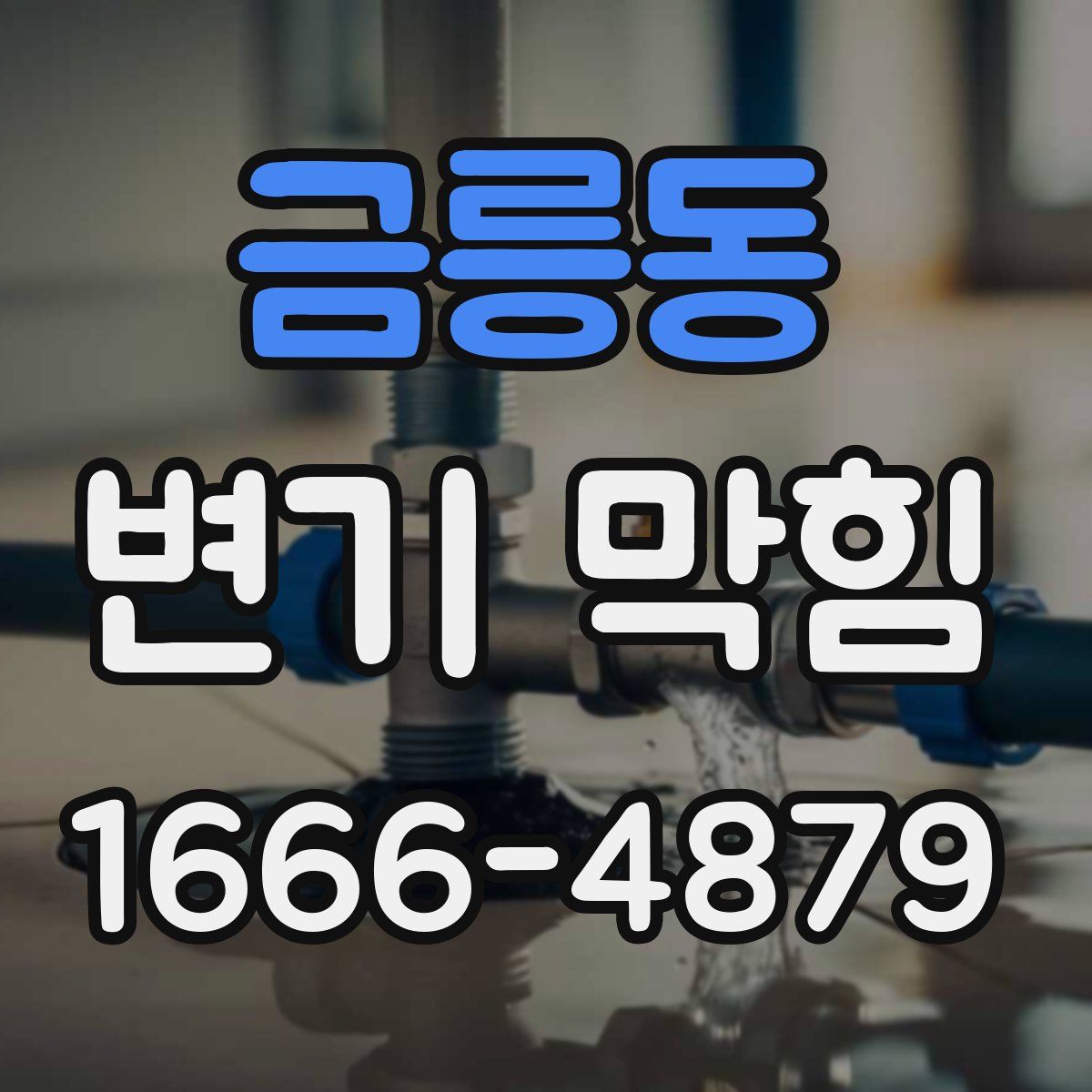 금릉동 변기 막힘