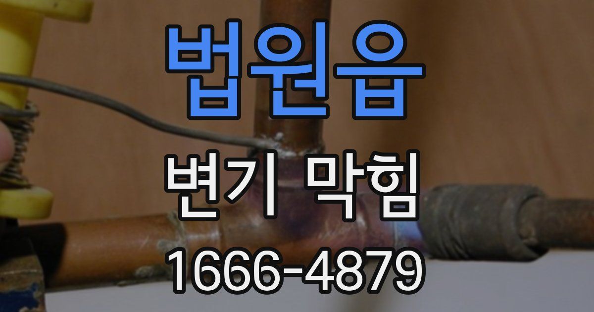 법원읍 변기 막힘