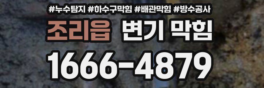 조리읍 변기 막힘