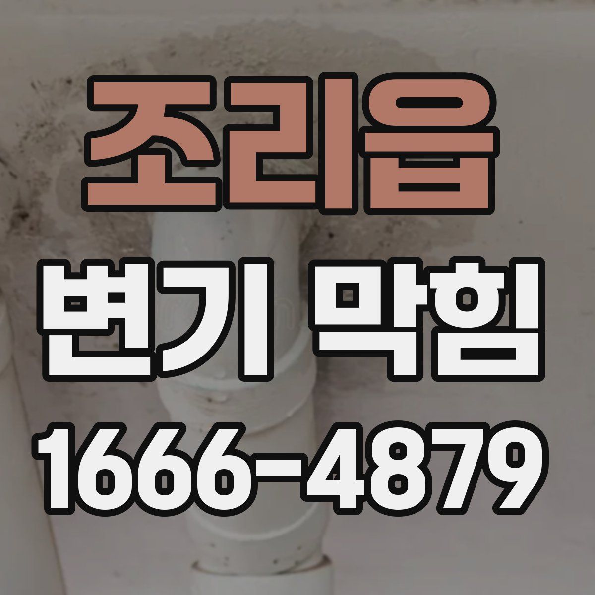 조리읍 변기 막힘