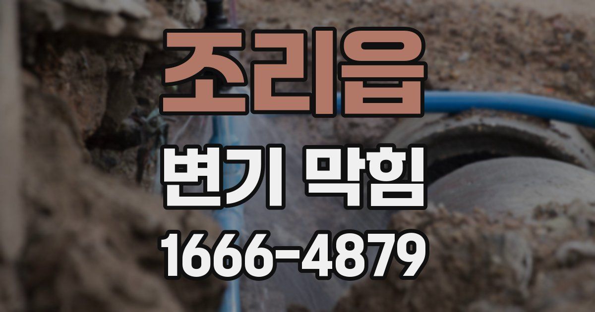 조리읍 변기 막힘