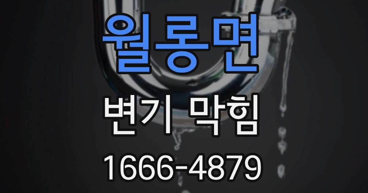 월롱면 변기 막힘