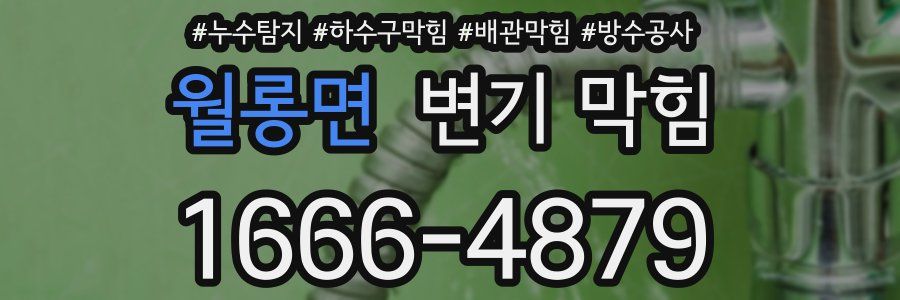 월롱면 변기 막힘