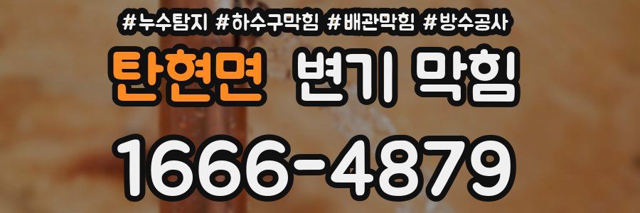 탄현면 변기 막힘