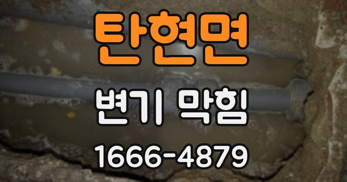 탄현면 변기 막힘