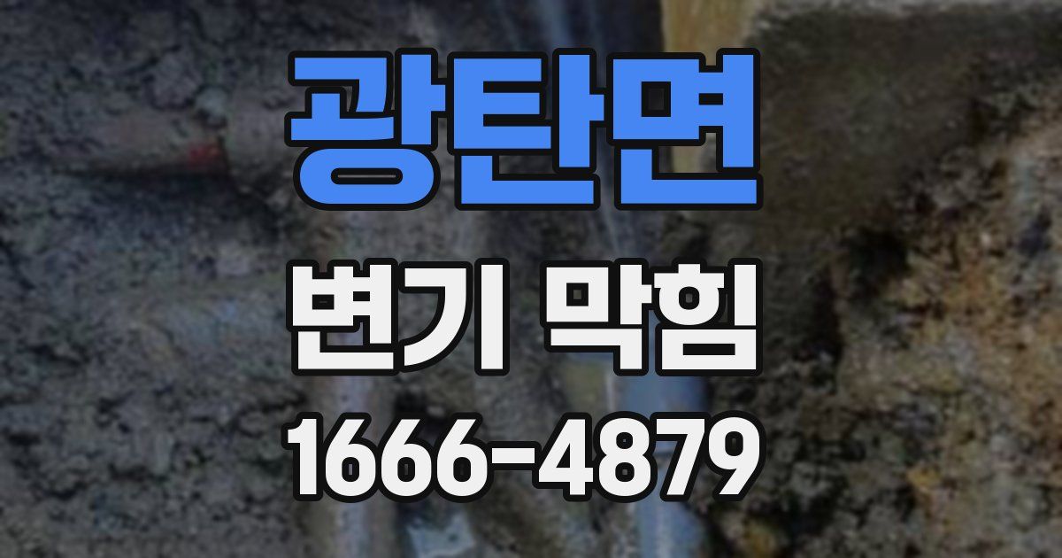 광탄면 변기 막힘