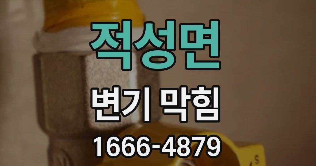 적성면 변기 막힘