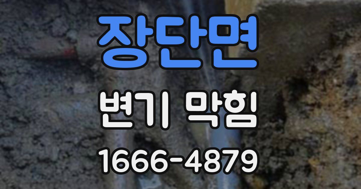 장단면 변기 막힘