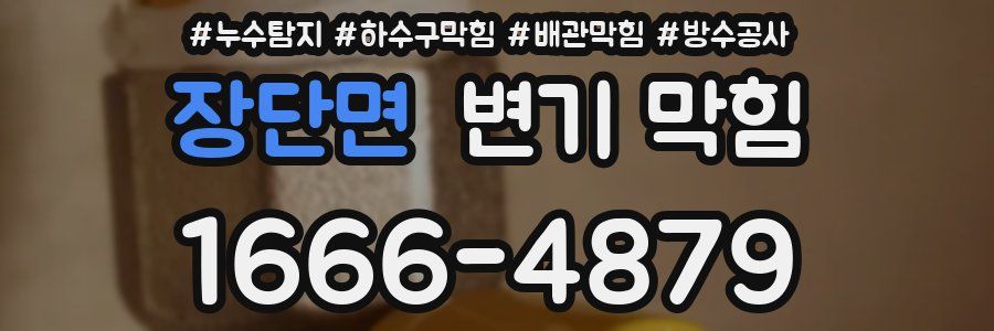 장단면 변기 막힘
