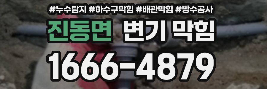 진동면 변기 막힘